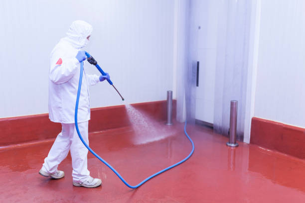 Best House Exterior Washing  in East Bronson, FL