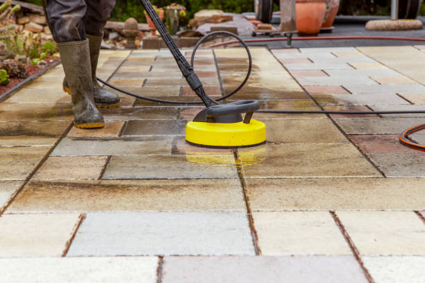 Best Dumpster Area Cleaning  in East Bronson, FL