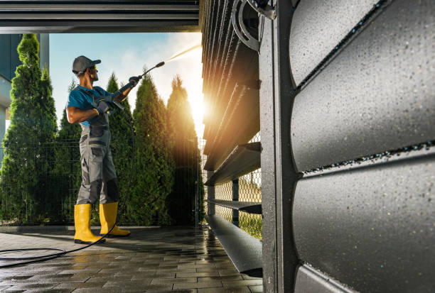 Best Roof Washing  in East Bronson, FL
