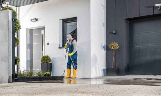 Best Solar Panel Cleaning  in East Bronson, FL